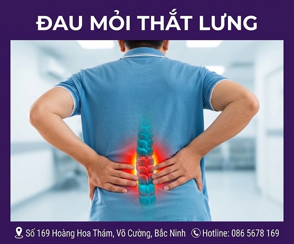 https://dakhoabacninh.com/wp-content/uploads/2026/05/dau-moi-that-lung.jpeg