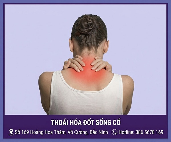 https://dakhoabacninh.com/wp-content/uploads/2026/05/thoai-hoa-dot-song-co.jpeg